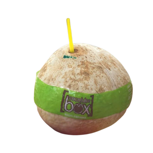 Kelapa Coco Juice Box - Coconut Water 1c
